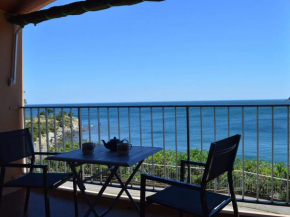Appart familial 6 pers Banyuls-sur-Mer clim, parking privé, proche plages - FR-1-225C-57